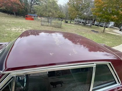 Visible paint chipping, roof