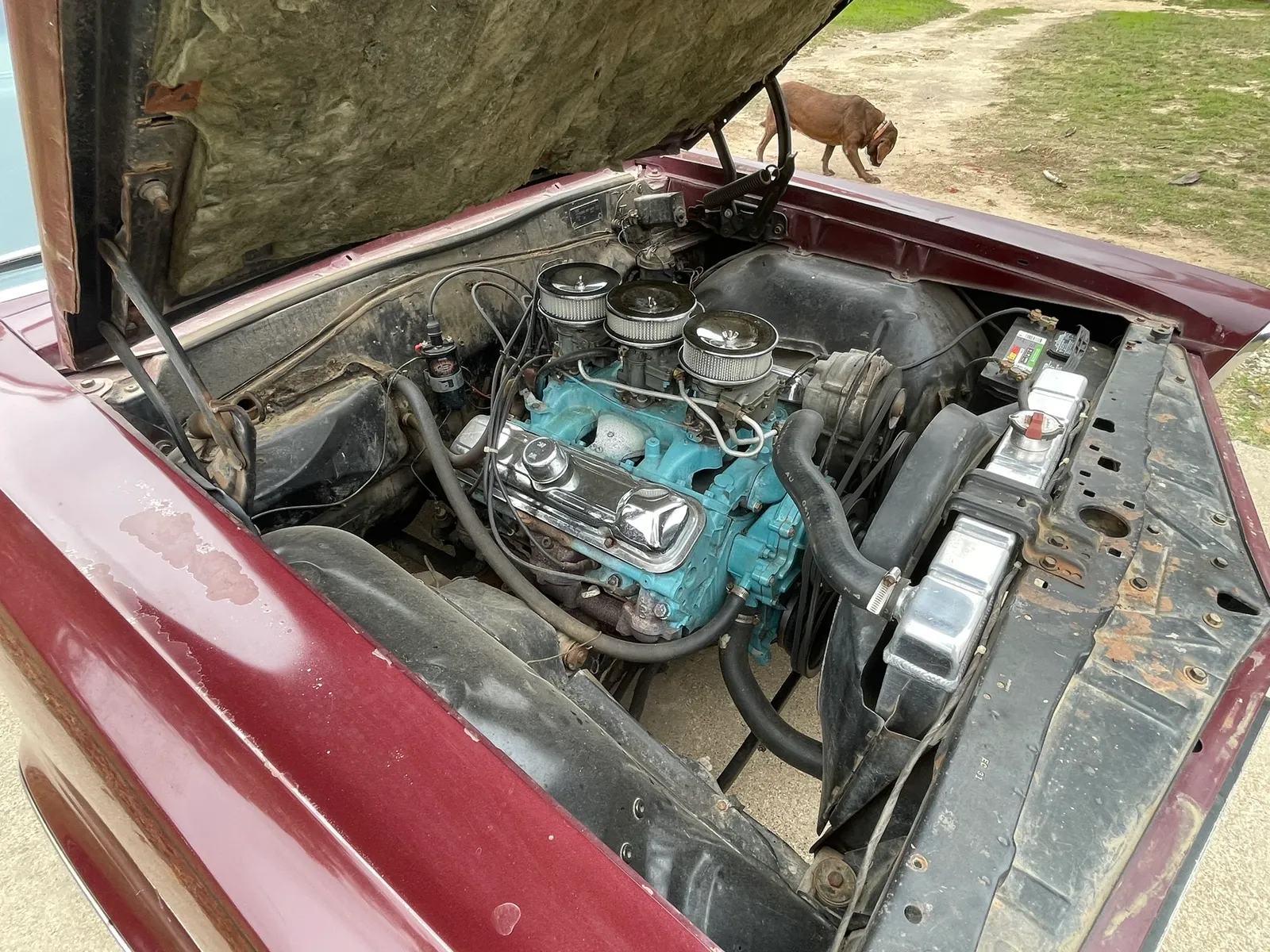 Engine compartment, angled detail view