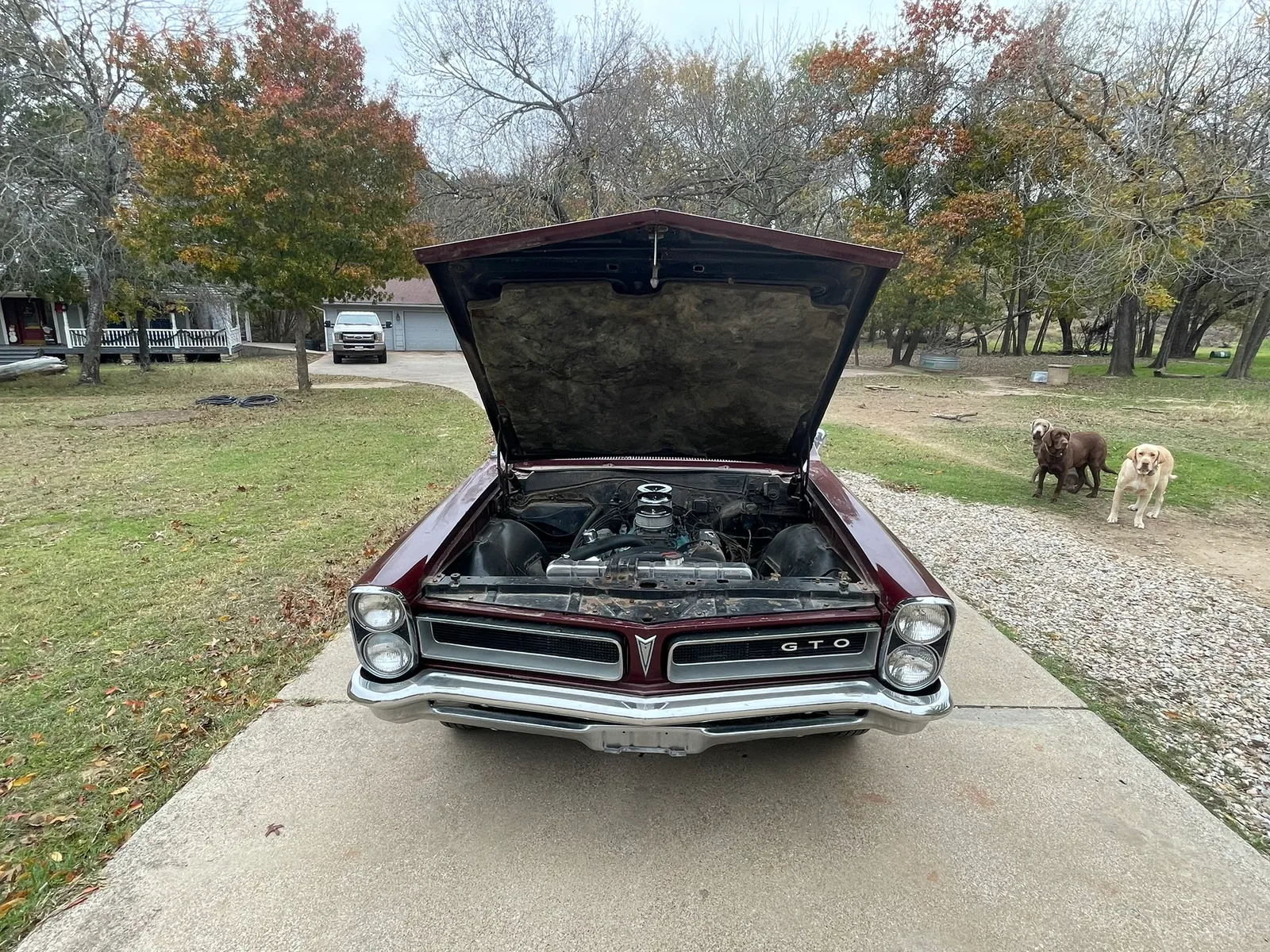 Engine compartment, front view with hood open