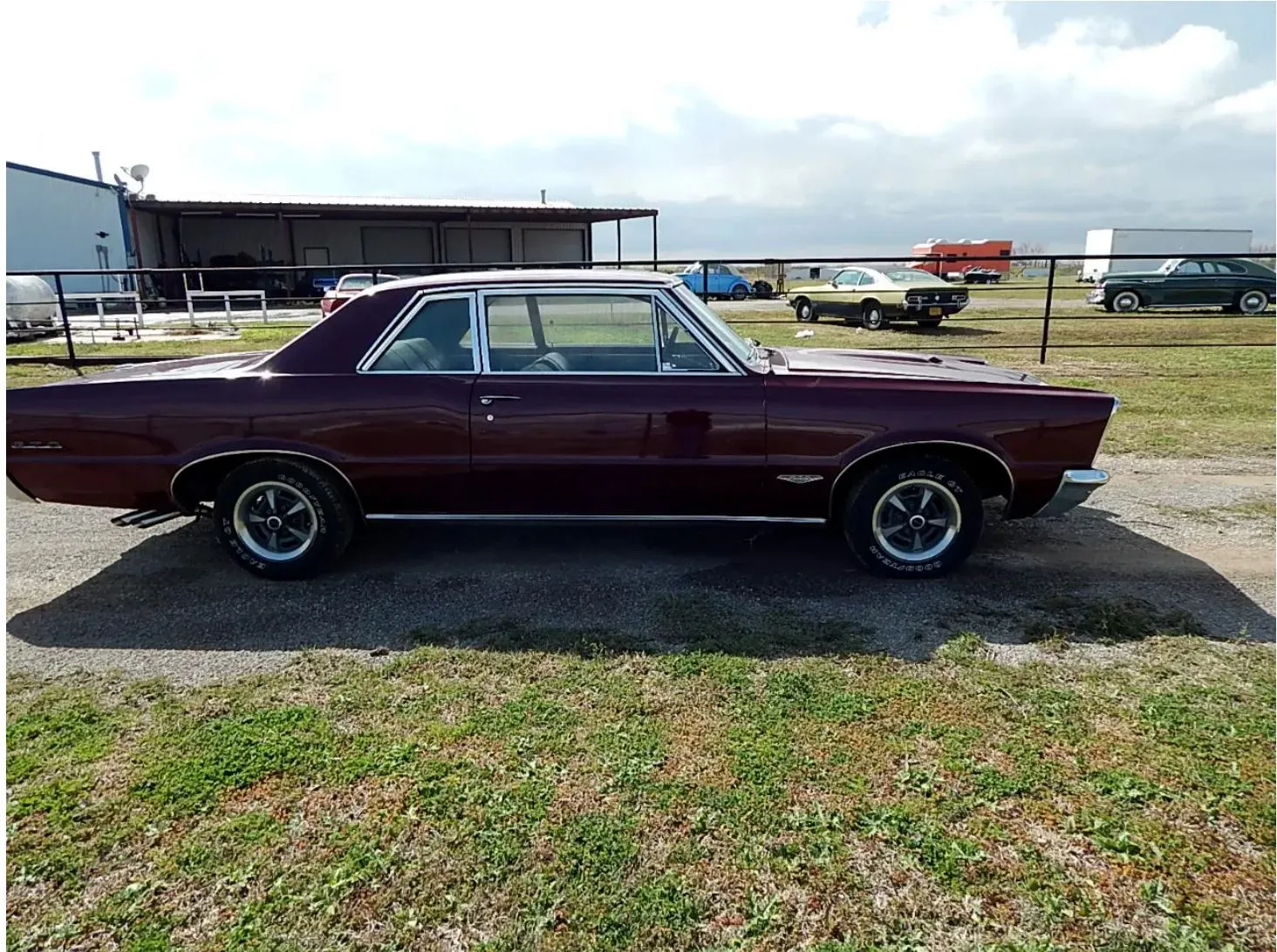 1965 Pontiac GTO, driver-side profile view
